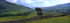 Wildflower Meadows, Swaledale