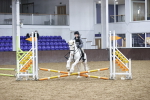 SBM_003443