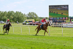 300526-Race 2-Im Dan Dare-0323
