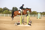 SBM_03498