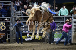 Tucker Curracato_DSC2285