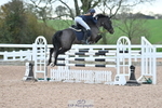 Sun Cls 8 BlueChip Pony Coral Qualifier portfolio