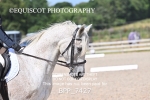 BPP_7427