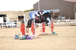 SBM_003940