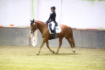 SBM_000339