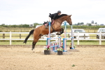 SBM_002985