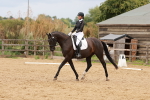 SBM_001981