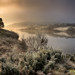 Winter Light