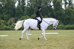 WJ6_7344