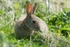 20120531-_MG_9741