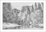Graphite Drawing #8