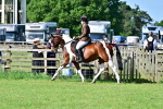 SBM_11657