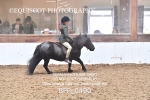 BPP_0490
