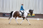 SBM_000960