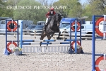 BPP_1490