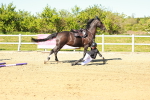 SBM_002115