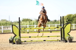 SBM_005276_Class 13 - Senior Foxhunter - 120m