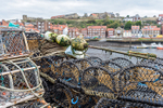 Lobster pots at Whitby Harbour (1)