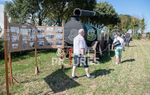 Guernsey Agricultural Show 2021-199