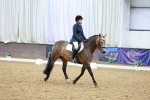 SBM_002240