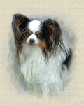 PP36 