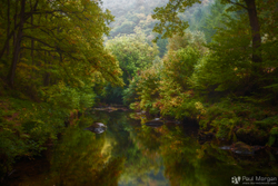 Reflecting Autumn