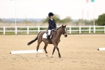 SBM_006485