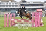 BPP_6431