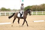 SBM_006868