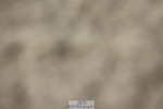 250718A-163013-02857