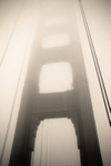 _MG_4372_warm