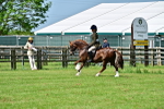 SBM_03795