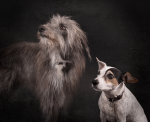 Ollie and Alfie