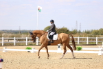 SBM_015086