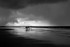 Brancaster Beech