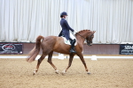 Class 12-19-16 - Lusitania-FEI INT I - PYO ADV 1 portfolio