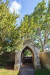 Witney 25