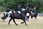 WJ7_1162