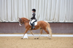 SBM_002950