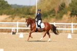 SBM_016836