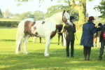 SBM_57520