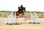 SBM_007046