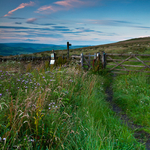 Fellside Path