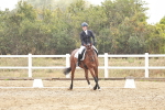 SBM_003864