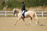 SBM_001552