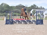 BPP_1817