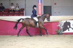 SBM_02052