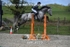 BPP_4219