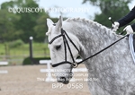 BPP_0568