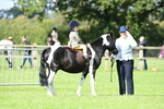 SBM_41164